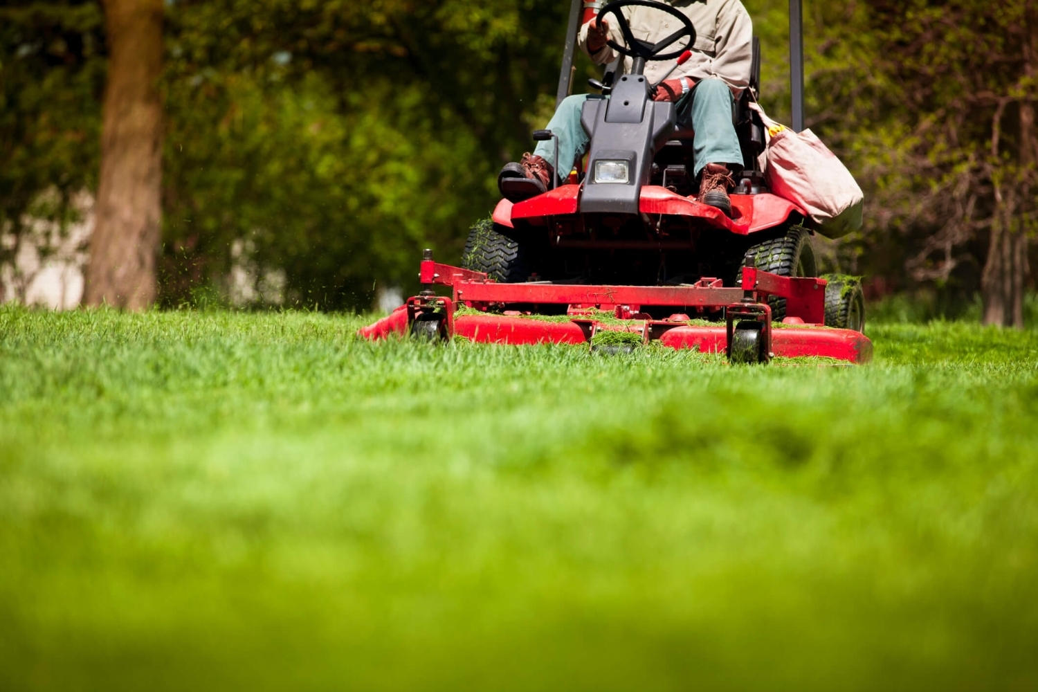 5 Essential Lawn Care Tips for Stunning Yards