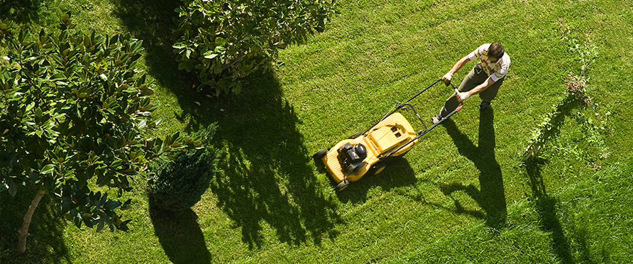 Professional Lawn Care Near Oakland Park, KS | Hassle Free - areas-we-served-image-1