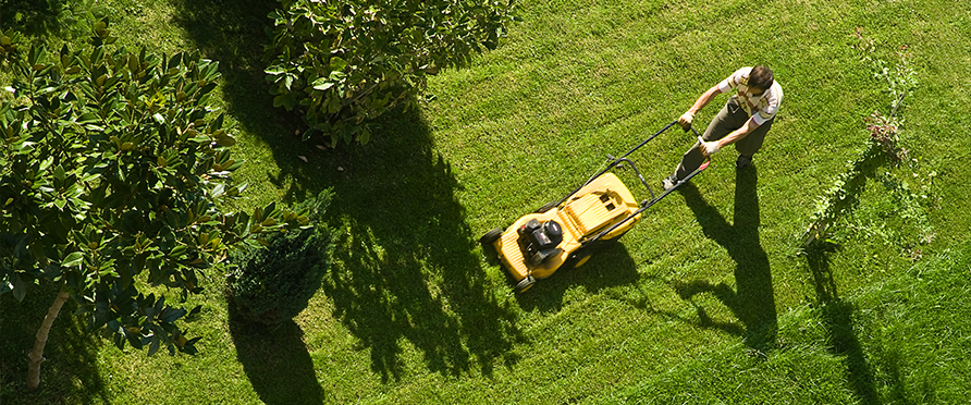 aerial view of lawn