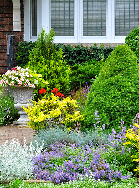 Front lawn with lots of flowers