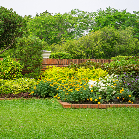 Front lawn with lots of flowers