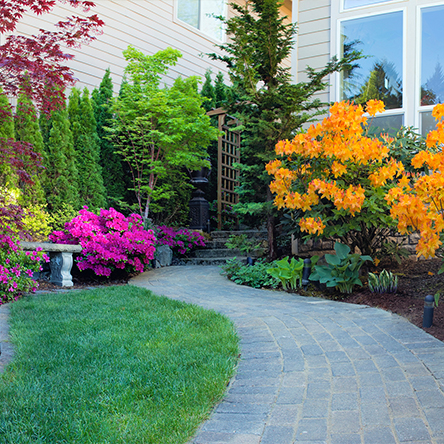 Front lawn with lots of flowers